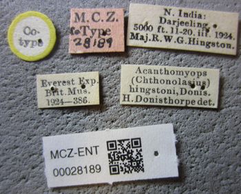 Media type: image;   Entomology 28189 Aspect: labels